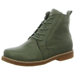 Stiefeletten - Andrea Conti - oliv