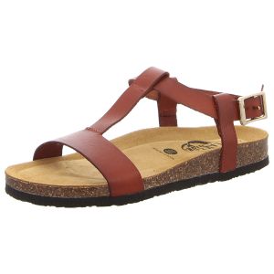 Sandalen - Plakton - Beta - cuero