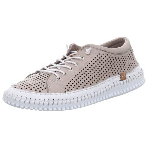 Schnürschuhe - Andrea Conti - new taupe/ kombi