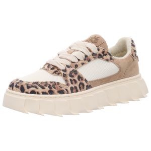 Sneaker - Apple of Eden - London 31.1 - leo