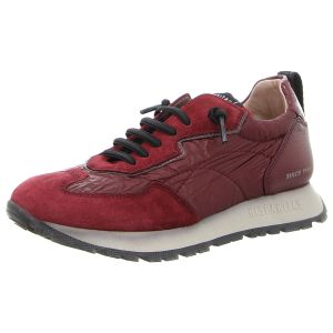 Sneaker - Hispanitas - Kansas - wine