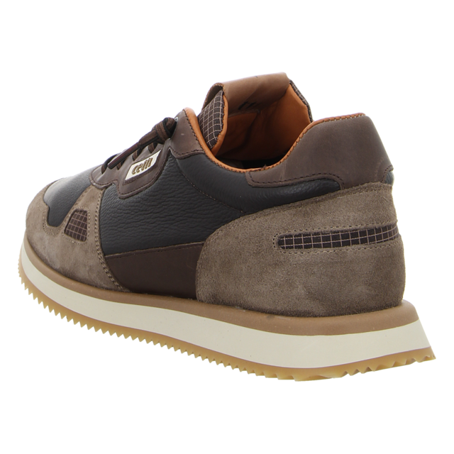 Cetti - C1397 ANTE NAPA MOKA - C1397 - moka - Sneaker