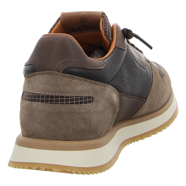 Cetti - C1397 ANTE NAPA MOKA - C1397 - moka - Sneaker