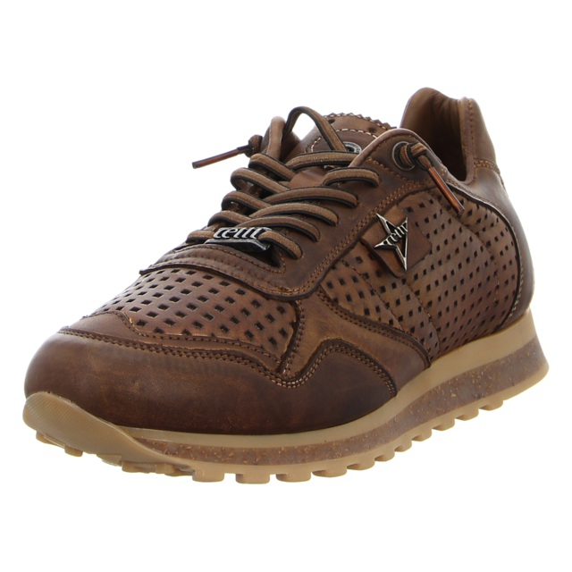 Cetti - C848 USED TIN TESTA - C848 - testa - Sneaker