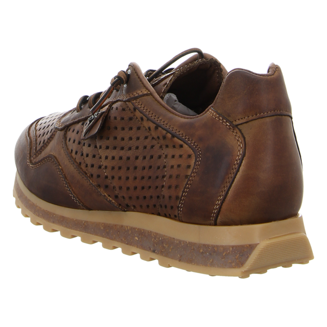 Cetti - C848 USED TIN TESTA - C848 - testa - Sneaker