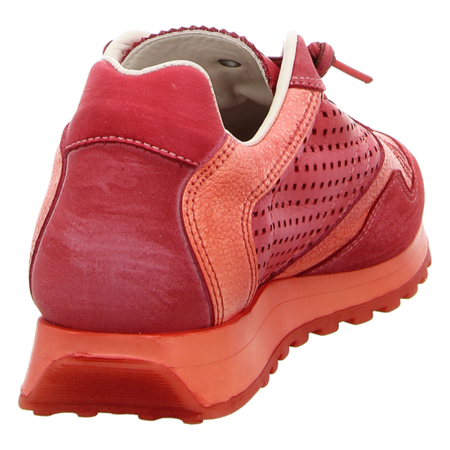 Cetti - C848 USED TIN ROSSO - C848 - rosso - Sneaker