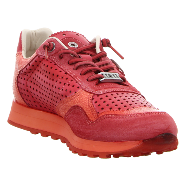 Cetti - C848 USED TIN ROSSO - C848 - rosso - Sneaker