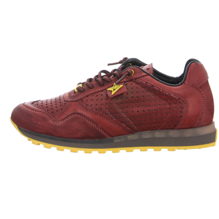 Cetti Sneaker gunstig online kaufen Schuhfachmann Online Shop