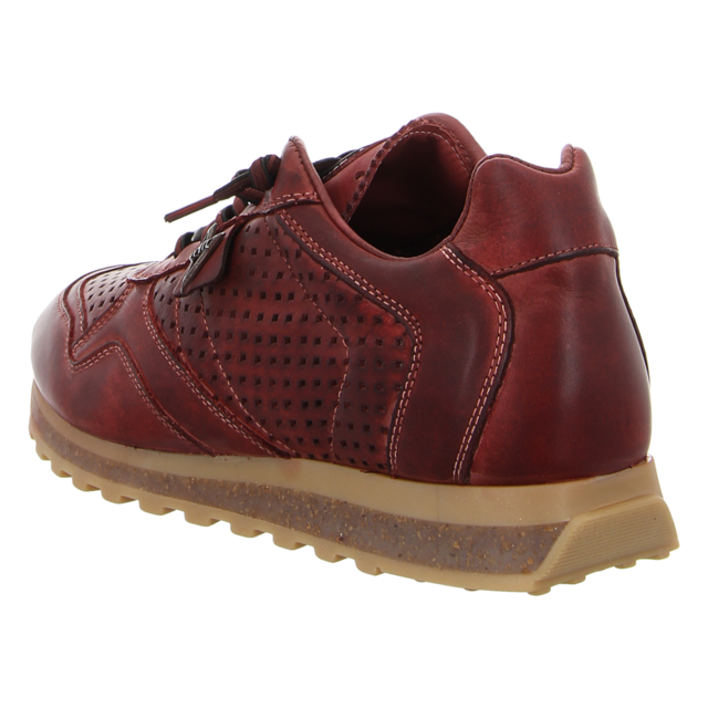 Cetti - C848 USED TIN BURDEOS - C848 - burdeos - Sneaker