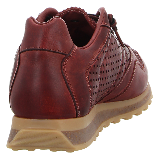 Cetti - C848 USED TIN BURDEOS - C848 - burdeos - Sneaker