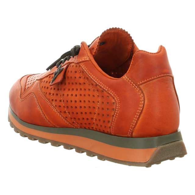 Cetti - C848 NATURE TIN CALDERA PACADO EL FORRAD - C848 NATURE TIN CALDERA PACADO EL FORRAD - tin caldera - Sneaker