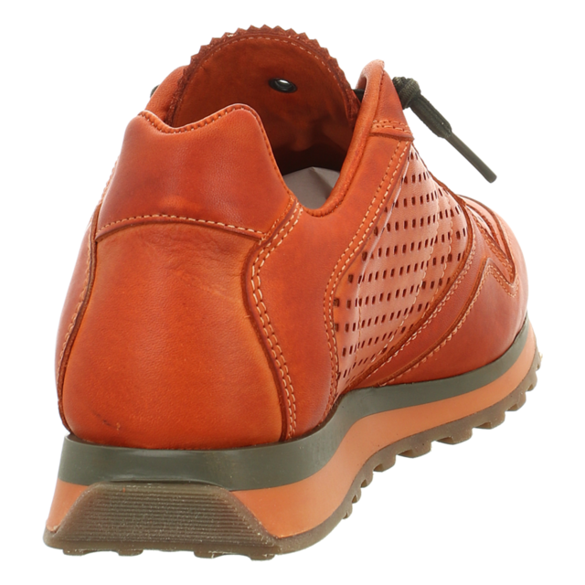 Cetti - C848 NATURE TIN CALDERA PACADO EL FORRAD - C848 NATURE TIN CALDERA PACADO EL FORRAD - tin caldera - Sneaker