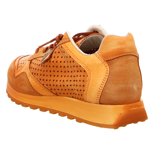 Cetti - C848 USED TIN AMBAR - C848 - ambar - Sneaker