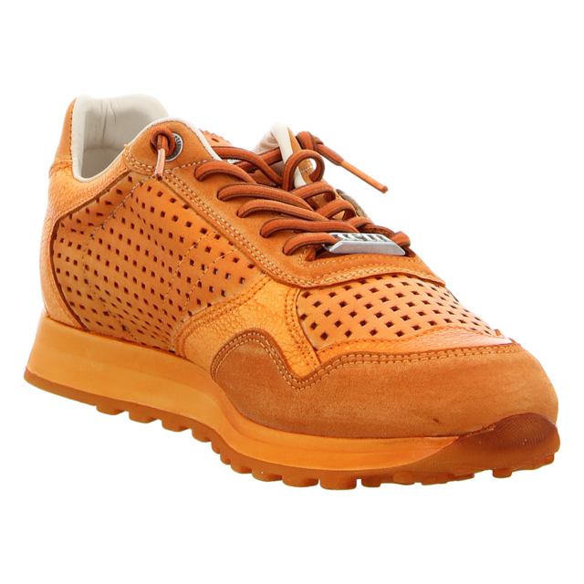 Cetti - C848 USED TIN AMBAR - C848 - ambar - Sneaker