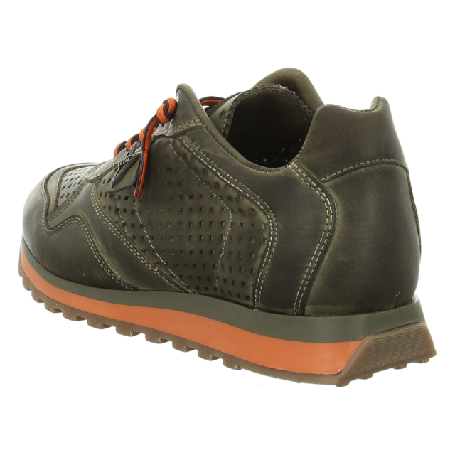 Cetti - C848 NATURE TIN KAKI PACADO AL FORRADA - C848 NATURE TIN KAKI PACADO AL FORRADA - tin kaki - Sneaker