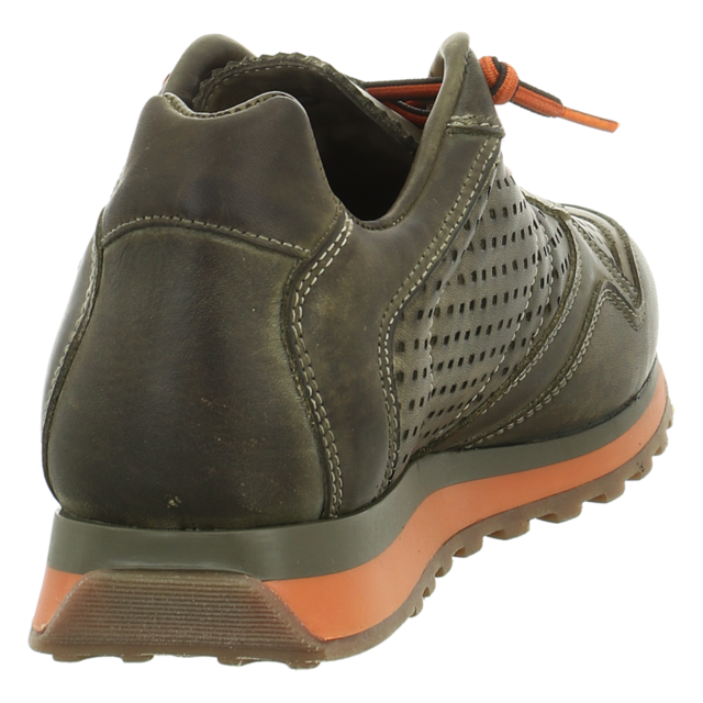 Cetti - C848 NATURE TIN KAKI PACADO AL FORRADA - C848 NATURE TIN KAKI PACADO AL FORRADA - tin kaki - Sneaker