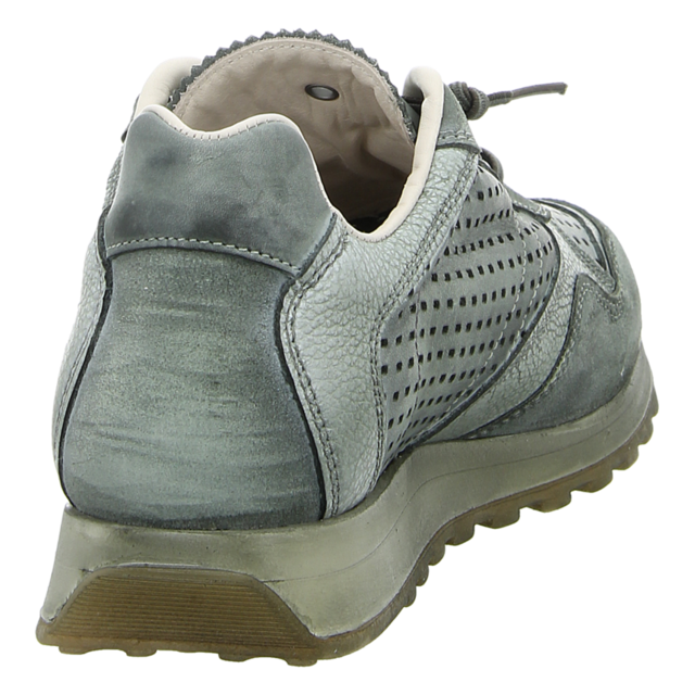 Cetti - C848 USED TIN KOMBAT - C848 - kombat - Sneaker