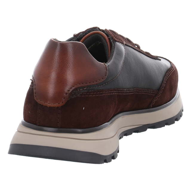 Bugatti - 332-AWC03-1410-6111 - 332-AWC03-1410-6111 - dark brown/dark grey - Sneaker