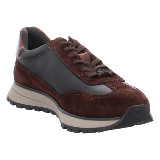 Bugatti - 332-AWC03-1410-6111 - 332-AWC03-1410-6111 - dark brown/dark grey - Sneaker