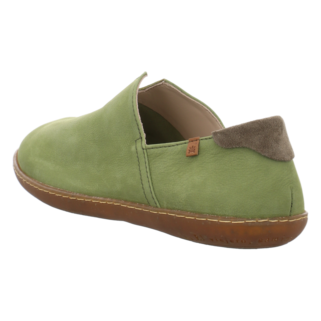 El Naturalista - N275 LIKEN - El Via Jero - liken - Slipper