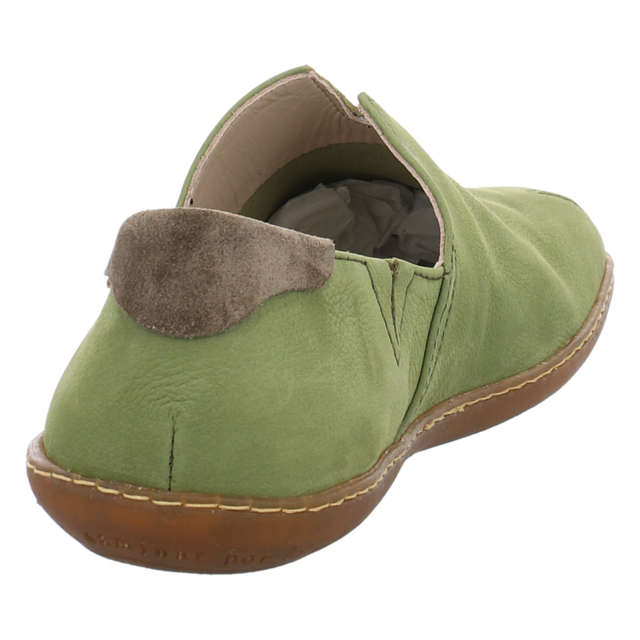 El Naturalista - N275 LIKEN - El Via Jero - liken - Slipper