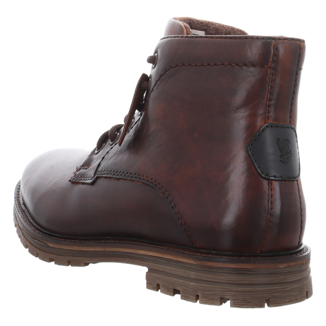 Salamander - E31-AUZ31-1119-6310 - E31-AUZ31-1119-6310 - cognac/black - Stiefeletten