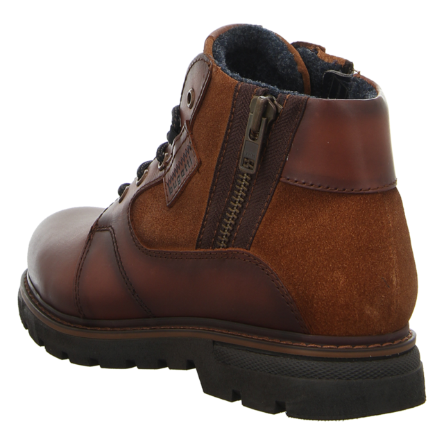 Bugatti - 321-A5A33-1214-6060 - Scarus - brown / brown - Stiefeletten
