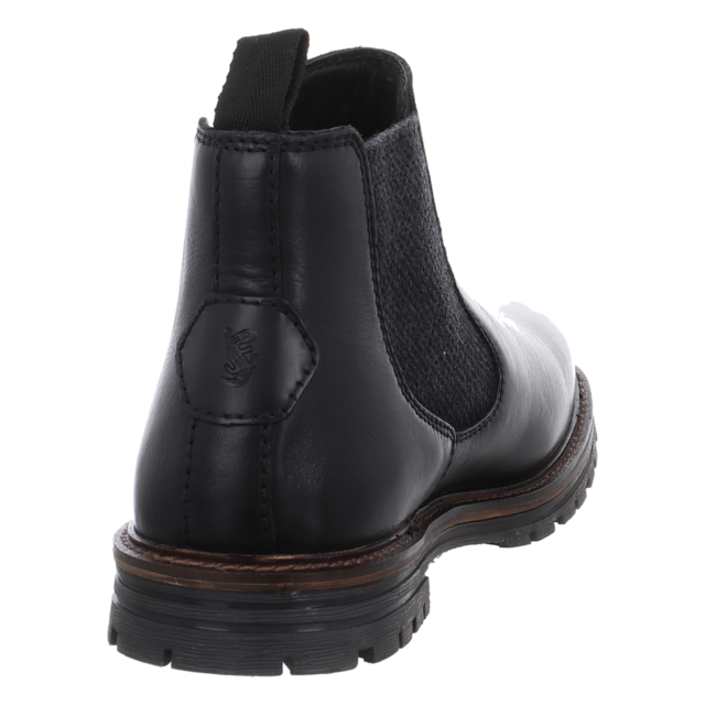 Salamander - E31-AUZ35-1000-1000 - E31-AUZ35-1000-1000 - black - Stiefeletten