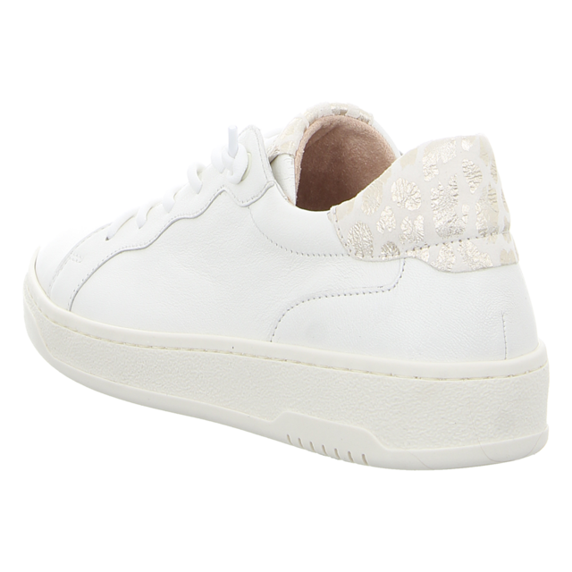 Gabor - 43.342.20 - 43.342.20 - latte - Sneaker