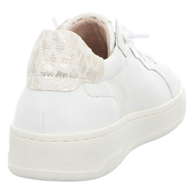 Gabor - 43.342.20 - 43.342.20 - latte - Sneaker