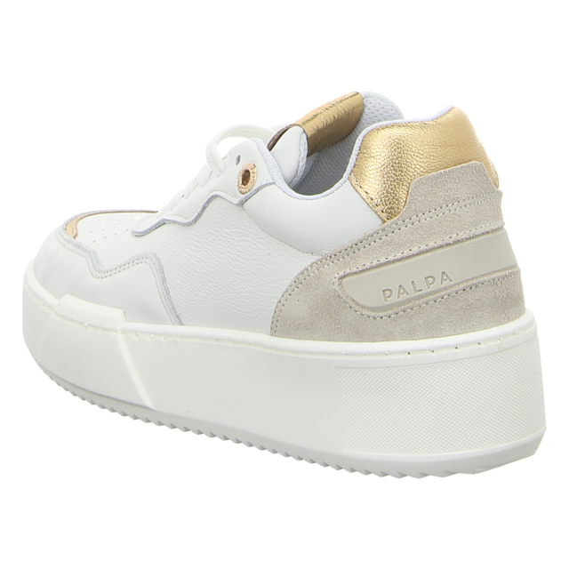 ONLINE SHOES - PSN-0042 B - Jaciara - white/lamb/gold - Sneaker