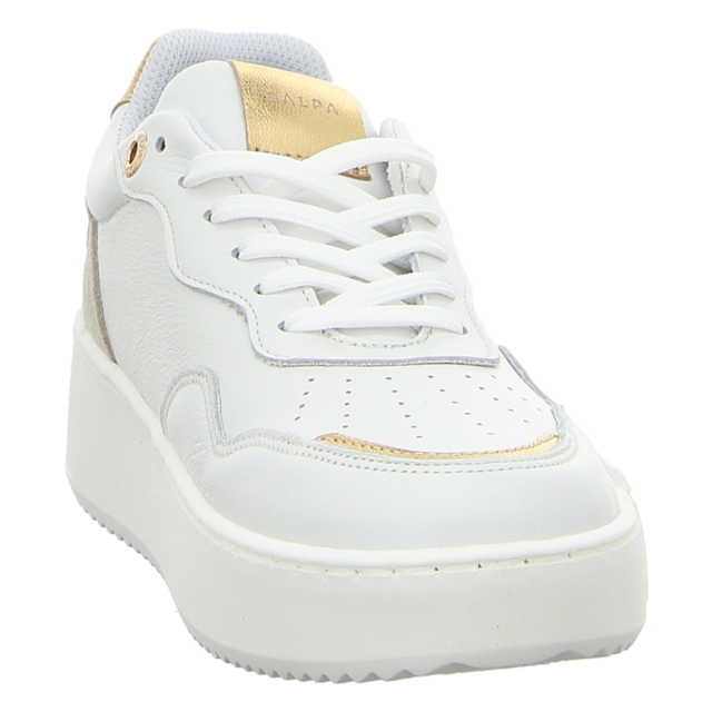 ONLINE SHOES - PSN-0042 B - Jaciara - white/lamb/gold - Sneaker