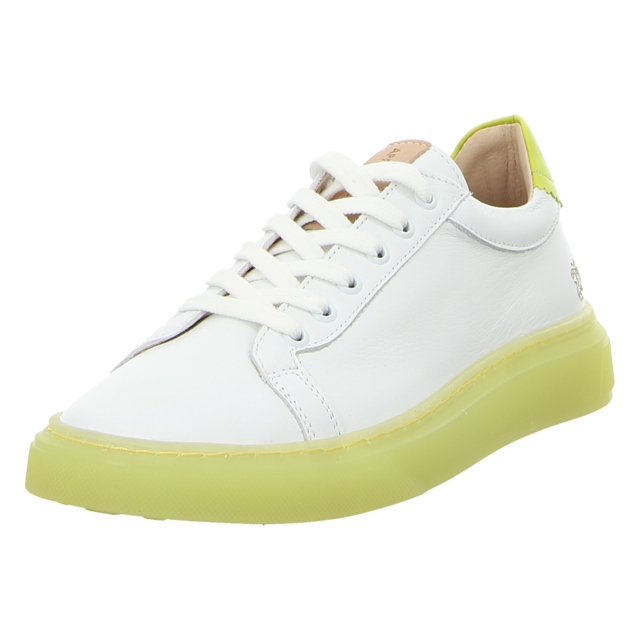 Apple of Eden - SS23-FELIX 67 - Felix - lima - Sneaker