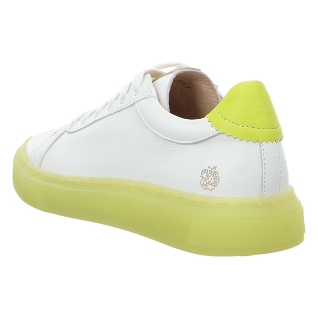 Apple of Eden - SS23-FELIX 67 - Felix - lima - Sneaker