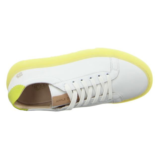 Apple of Eden - SS23-FELIX 67 - Felix - lima - Schnrschuhe