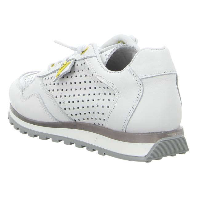 Cetti - C848 SRA WHITE NEON PISO TRANSPARENTE - C848 - white neon, piso transparaente, blanco, neon - Sneaker