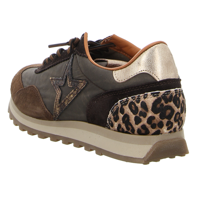 Cetti - C1259 SRA ANTE NILON CACAO - C1259 - cacao - Sneaker