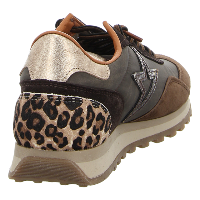 Cetti - C1259 SRA ANTE NILON CACAO - C1259 - cacao - Sneaker