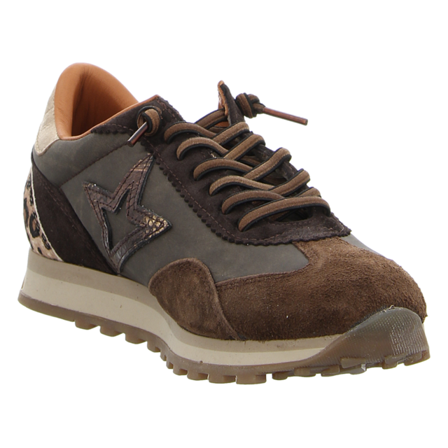 Cetti - C1259 SRA ANTE NILON CACAO - C1259 - cacao - Sneaker