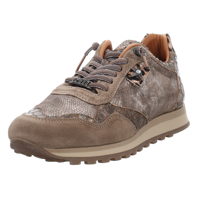 Cetti - C848 SRA ANTE VISION VIPERINAL SANDER - C848 - vision viperinal sander - Sneaker