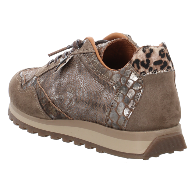 Cetti - C848 SRA ANTE VISION VIPERINAL SANDER - C848 - vision viperinal sander - Sneaker