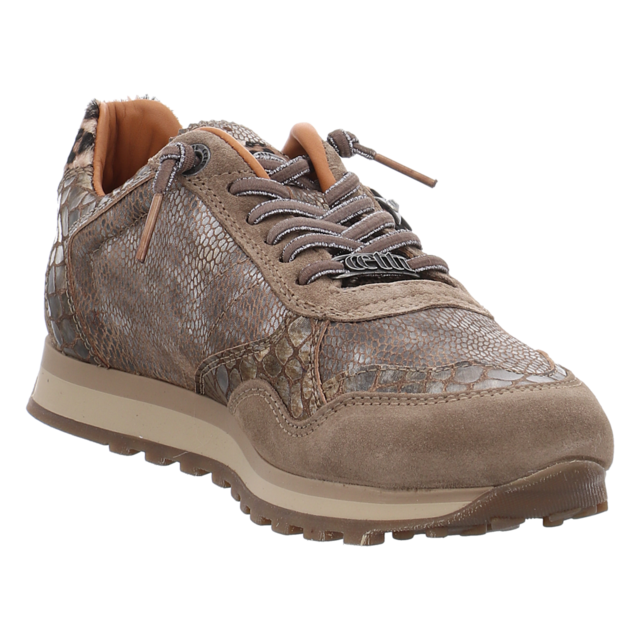 Cetti - C848 SRA ANTE VISION VIPERINAL SANDER - C848 - vision viperinal sander - Sneaker