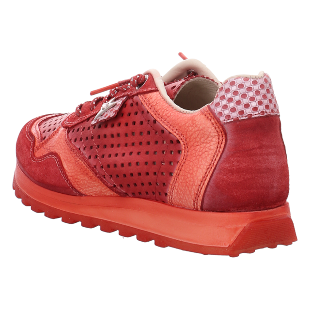 Cetti - C848 SRA USED TIN ROSSO - C848 - rosso - Sneaker