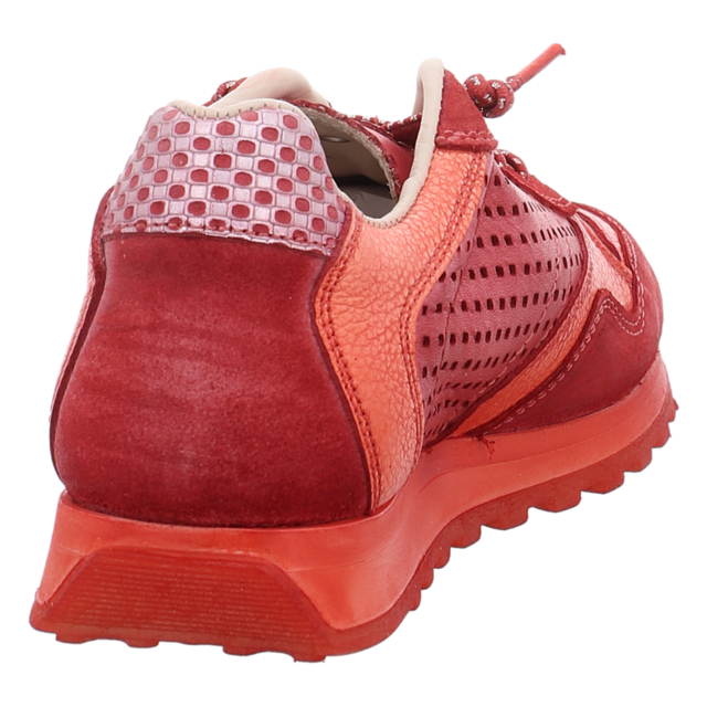 Cetti - C848 SRA USED TIN ROSSO - C848 - rosso - Sneaker