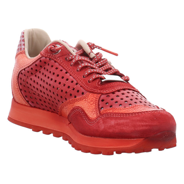 Cetti - C848 SRA USED TIN ROSSO - C848 - rosso - Sneaker