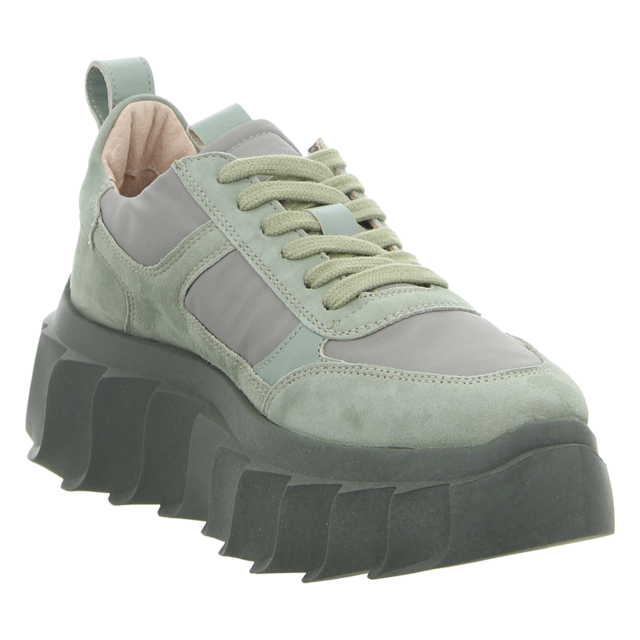 Apple of Eden - SS23-BLAIR 86 OLIVE - SS23-Blair 86 - olive - Schnrschuhe
