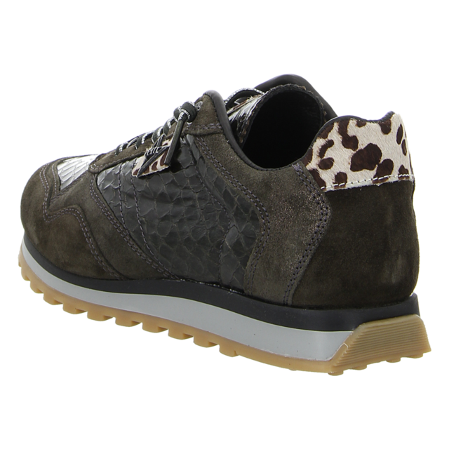 Cetti - C848 SRA ANTE ELBA MUSGO - C848 - musgo - Sneaker