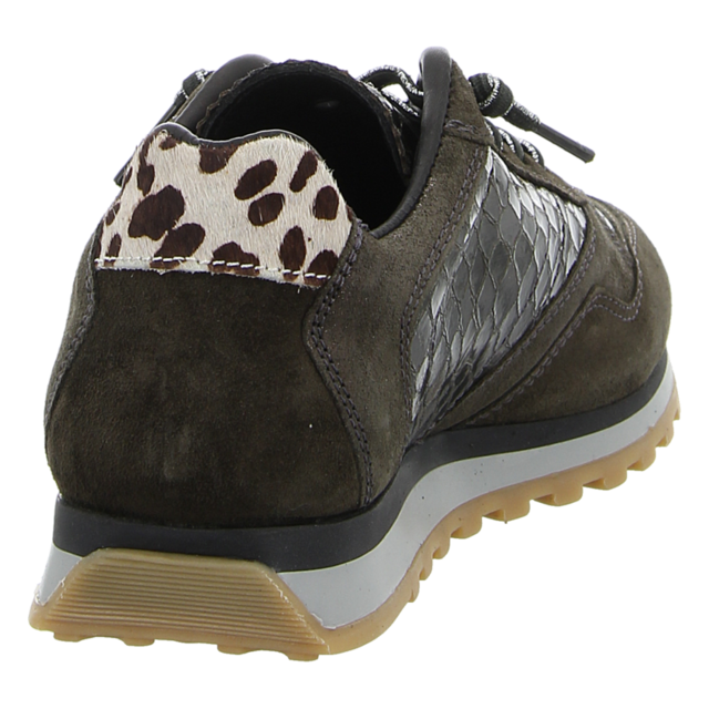 Cetti - C848 SRA ANTE ELBA MUSGO - C848 - musgo - Sneaker