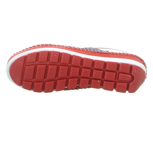 Gemini - 003138-01/581 - 003138-01/581 - blau-kombi - Slipper