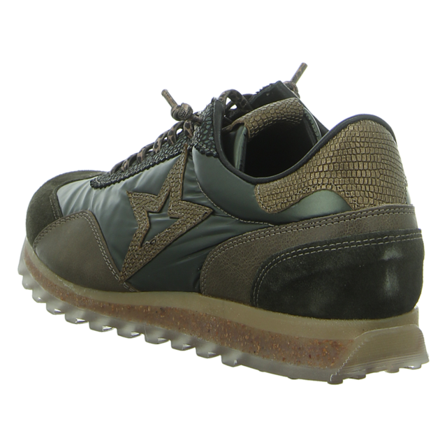 Cetti - C1259 SRA ANTE PIUMA KAKI - C-1259 SRA - grn-kombi - Sneaker
